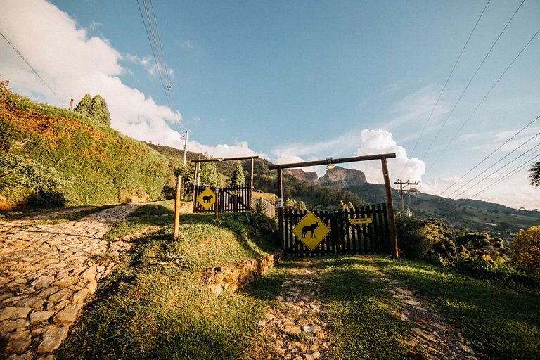 Trailer Capivara @caradecaochales