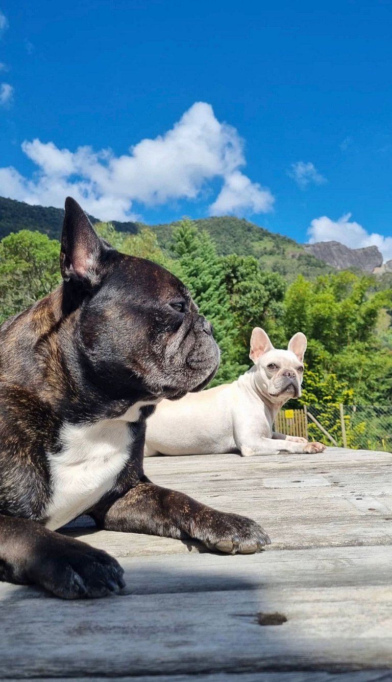 Cabana Lobo Guará @caradecaochales
